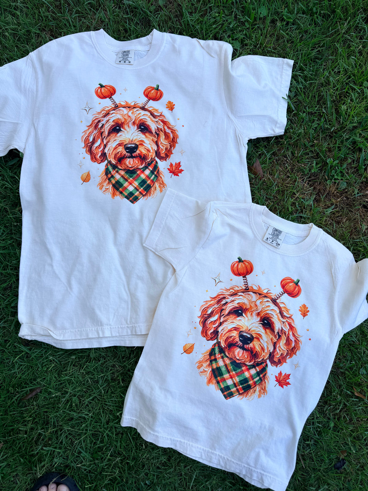 Pumpkin Spice Pup