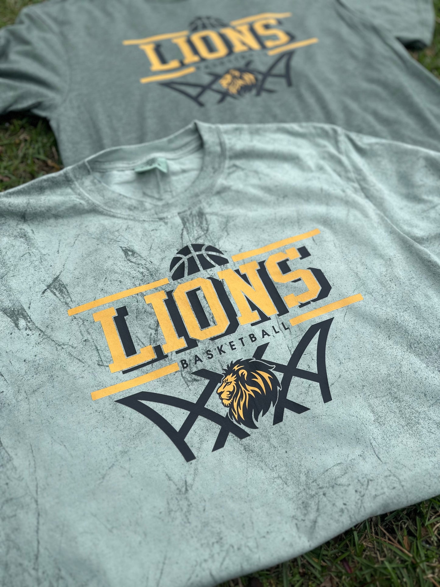 Lions Basketball Tee