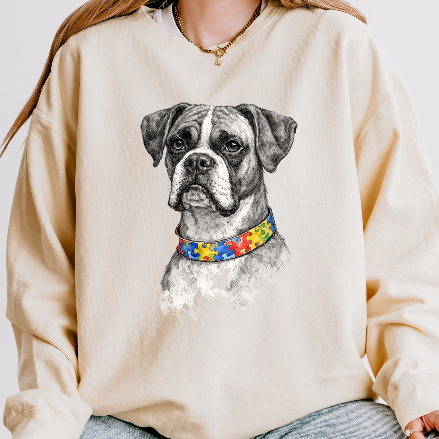 Mr Boxer