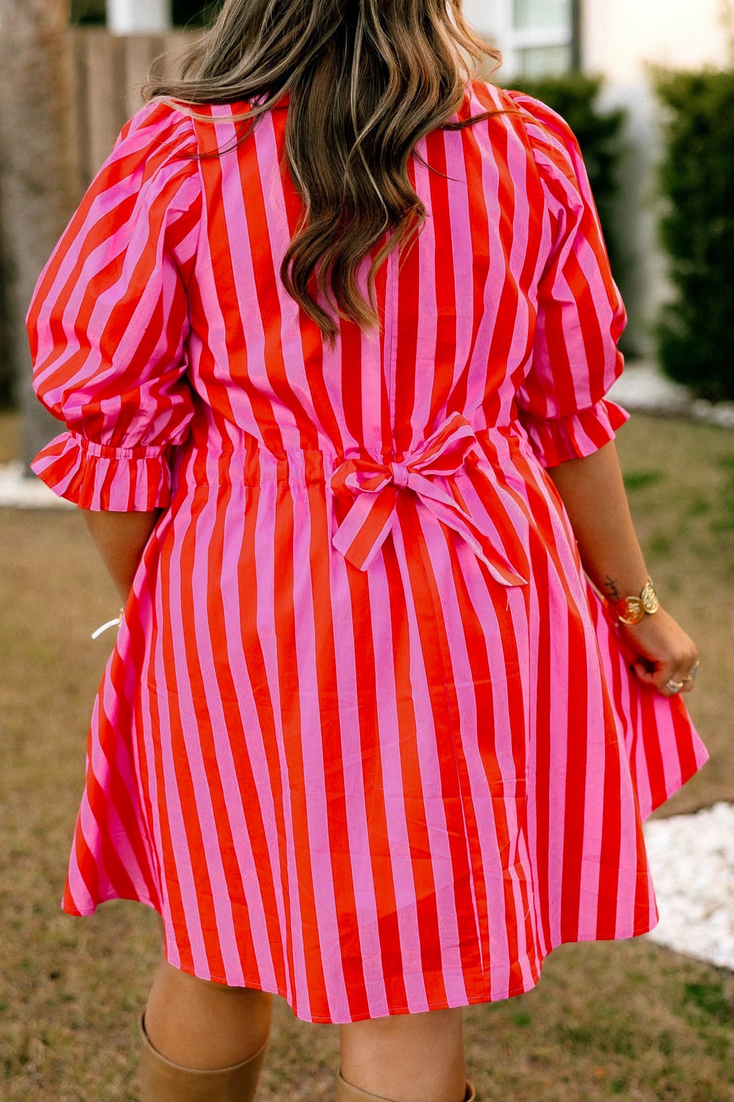 Rose Stripe Curvy Dress