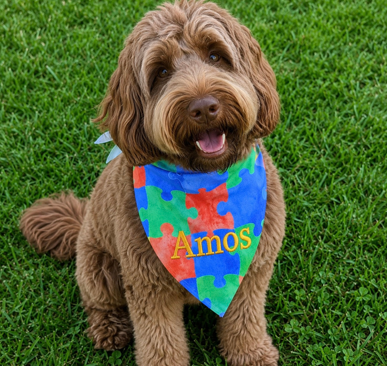 Best Friend Bandanas
