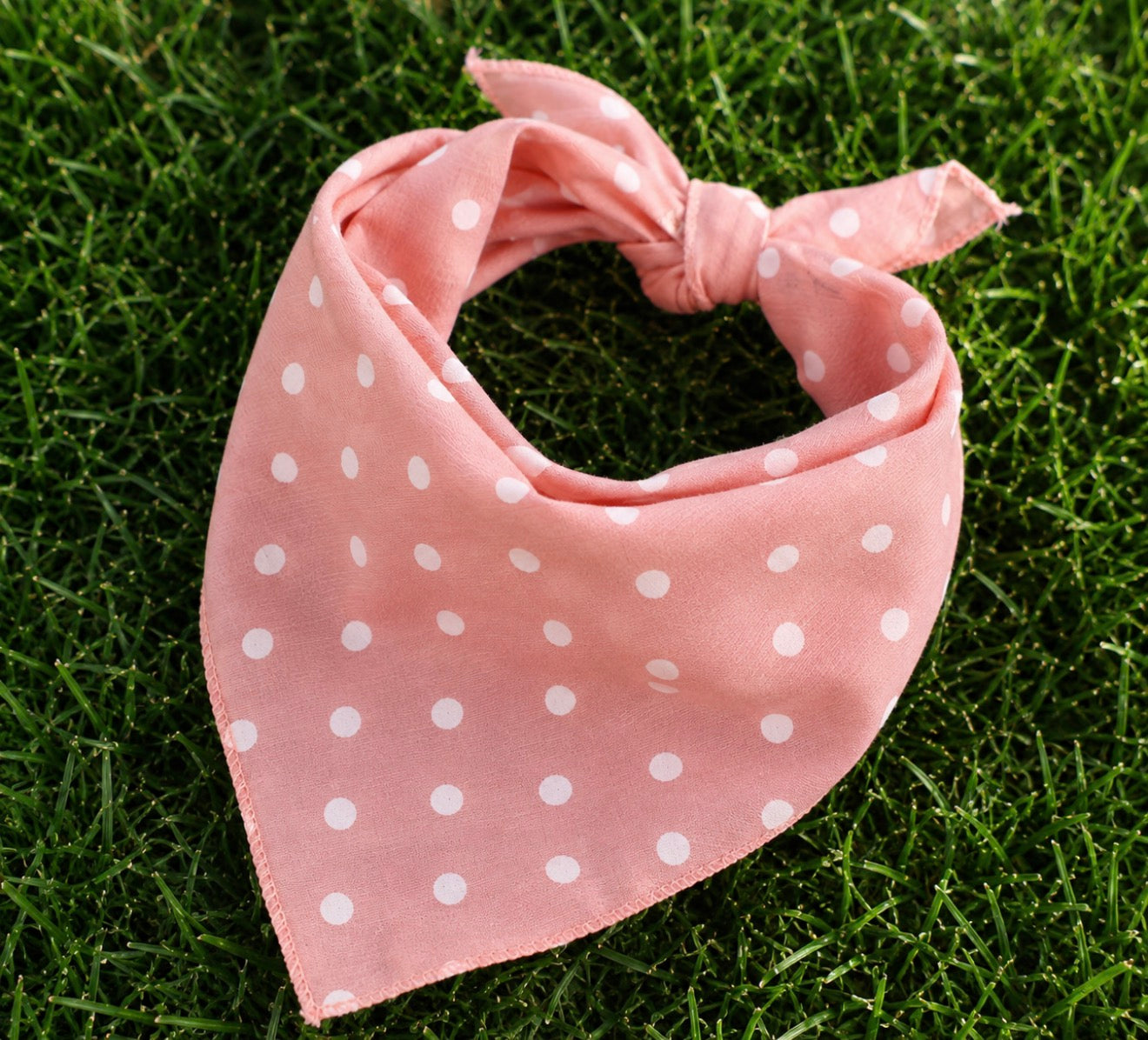 Best Friend Bandanas