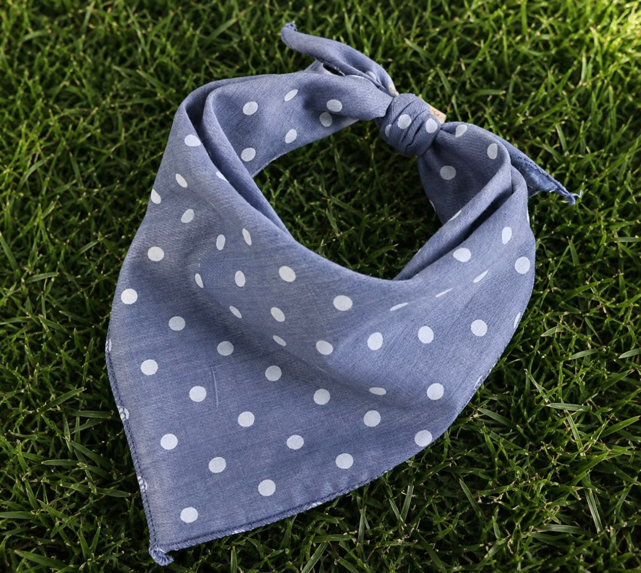 Best Friend Bandanas
