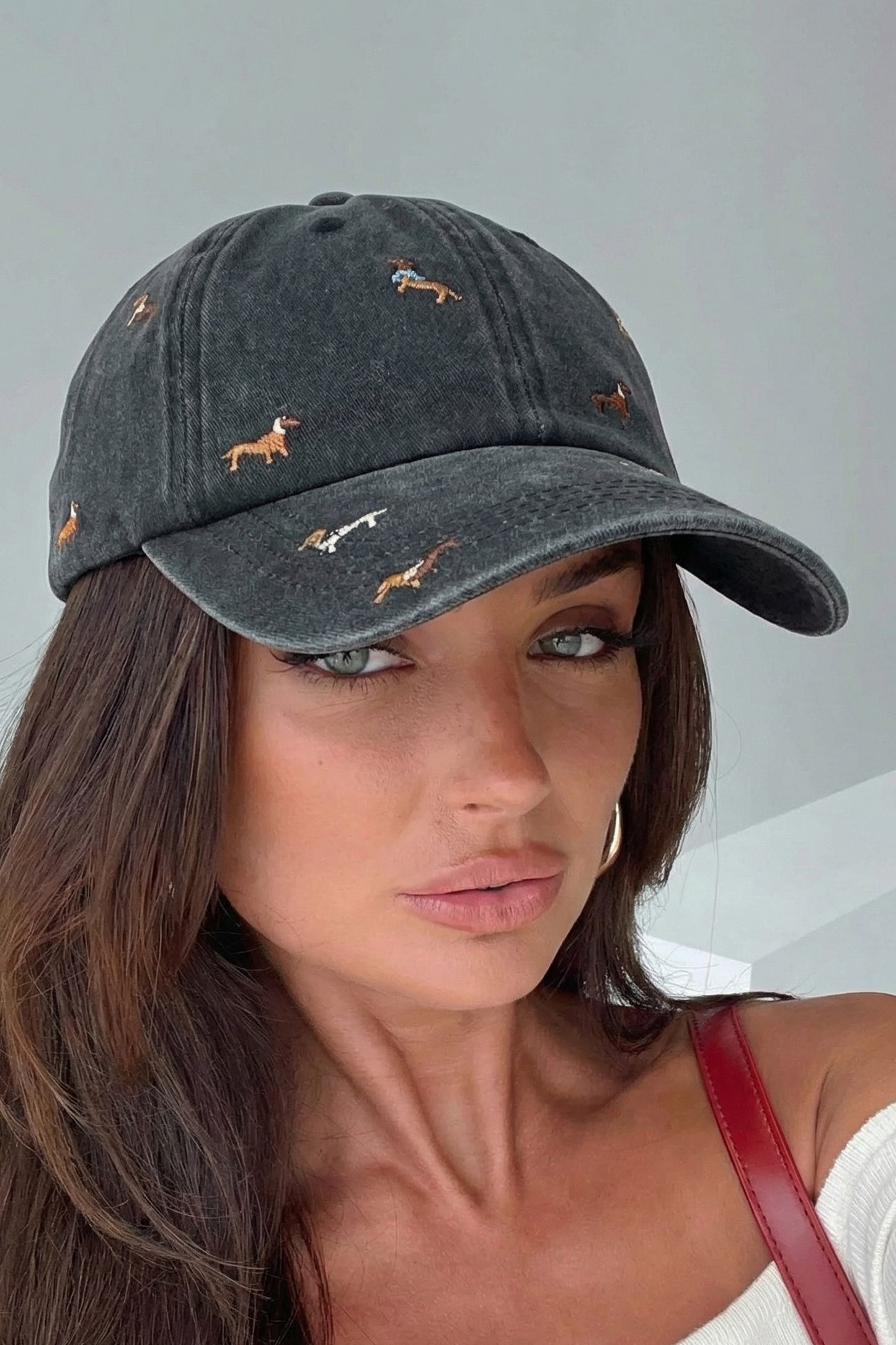 Dachshund Cap