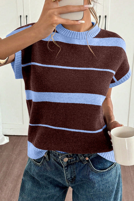 Blue and Brown Knit Top
